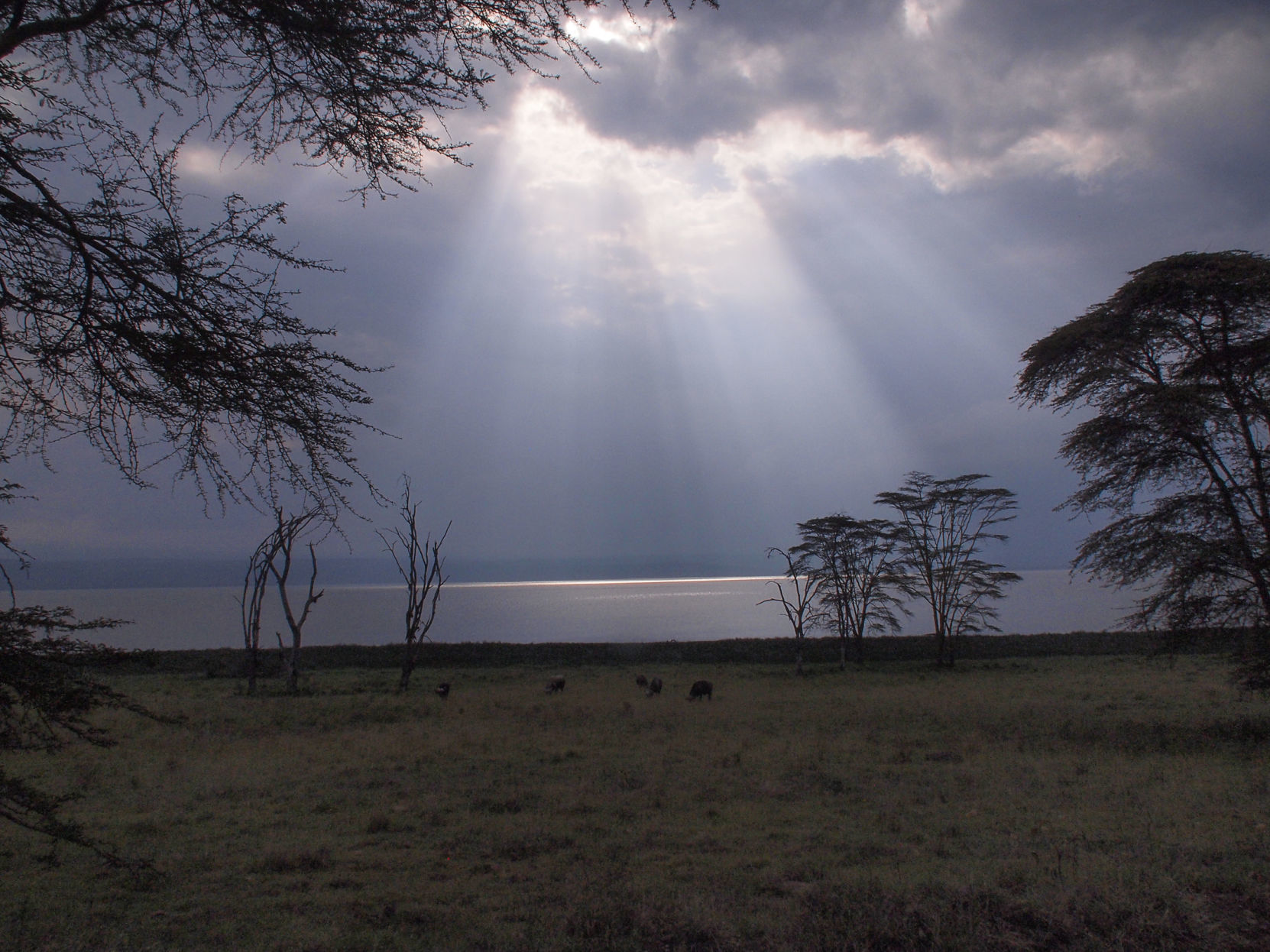 Crepuscular rays